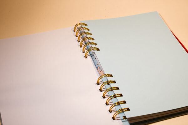 LIBRETA DE VIAJE MIEL AVENTURERA - Imagen 8