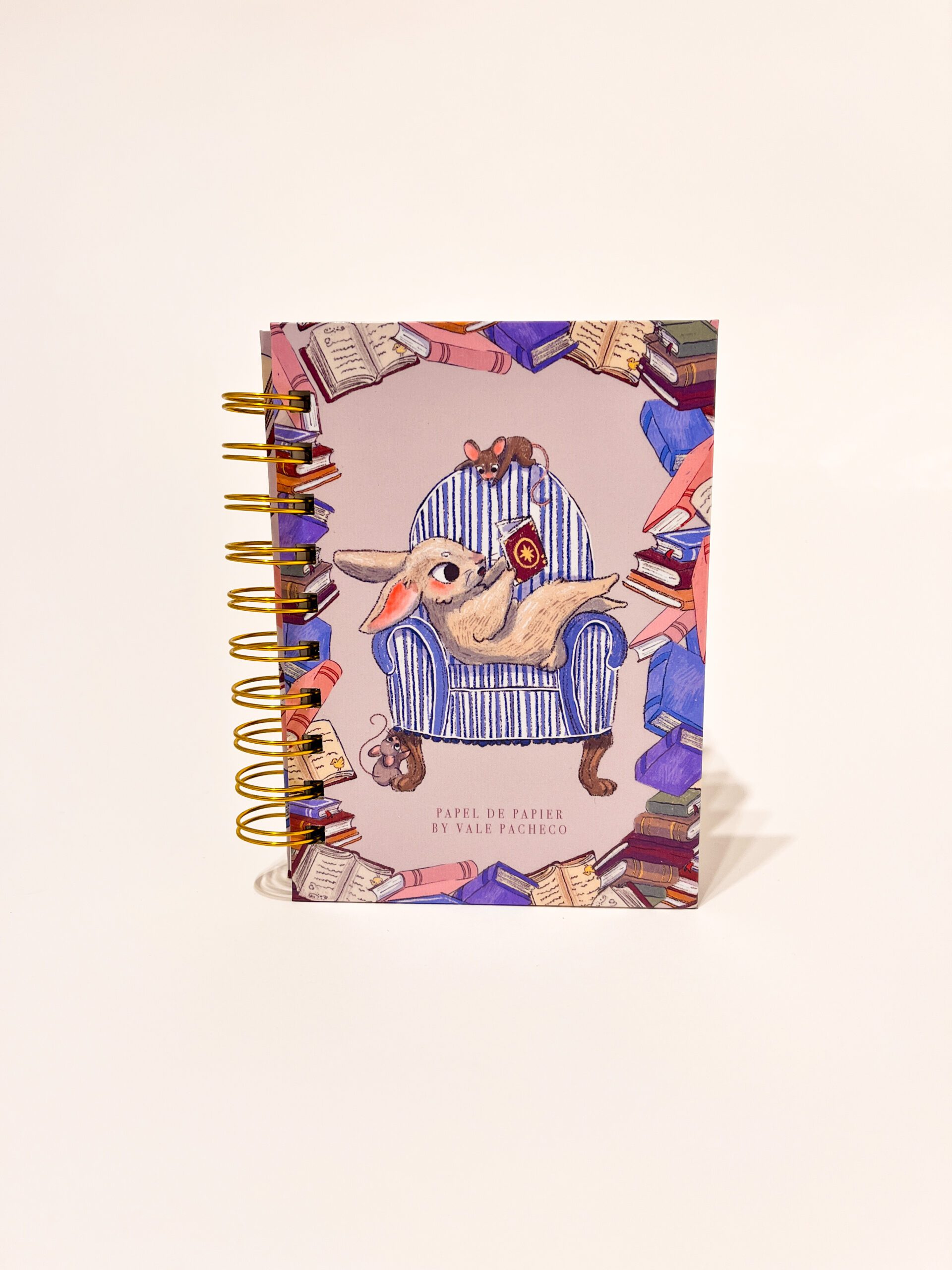 MINI LIBRETA: LA LECTURA DE CONEJITO - Imagen 1