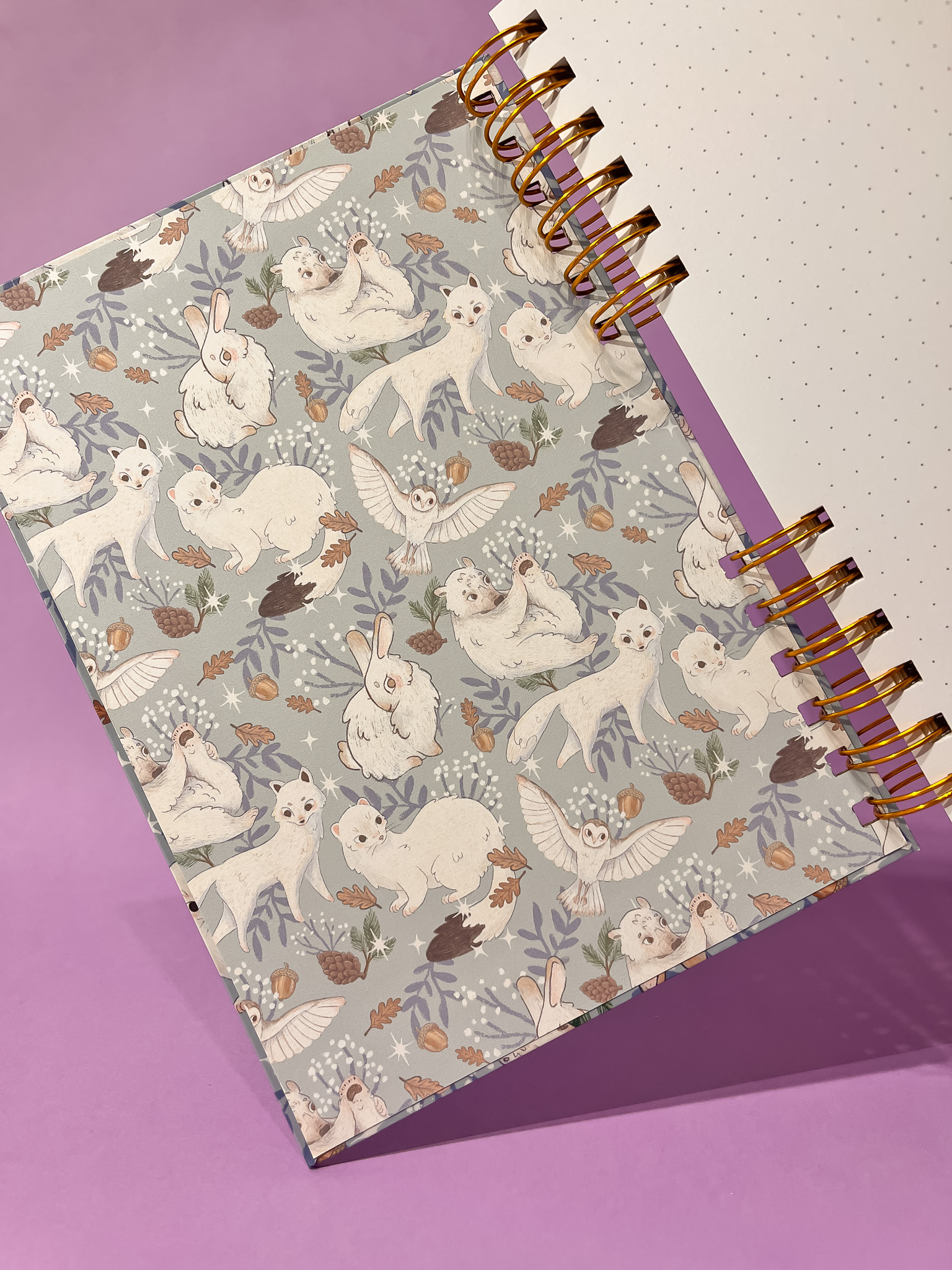 LIBRETA ANIMALES POLARES - Imagen 3