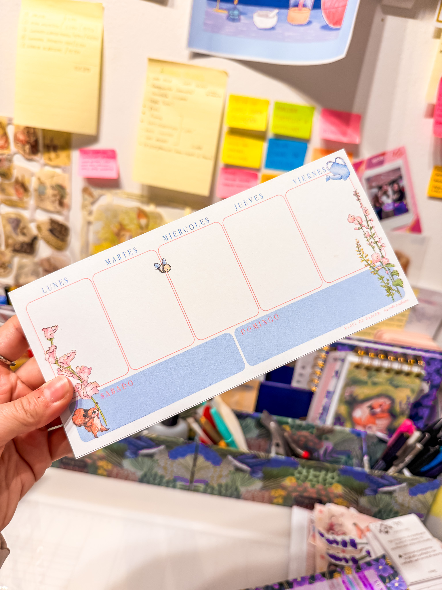 MINI ORGANIZADOR SEMANAL ARDILLITA - Imagen 1